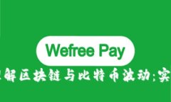 深入理解區(qū)塊鏈與比特幣波動：實用指南